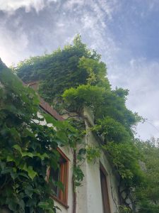 Vu de la maison lors de la rénovation de cette dernière à Paris 75019